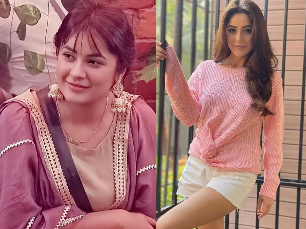 Shehnaaz Gill Lost 12 Kg In 6 Months, Know The Actress's Diet Plan
