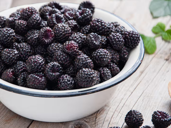 Health Benefits Of Blackberries