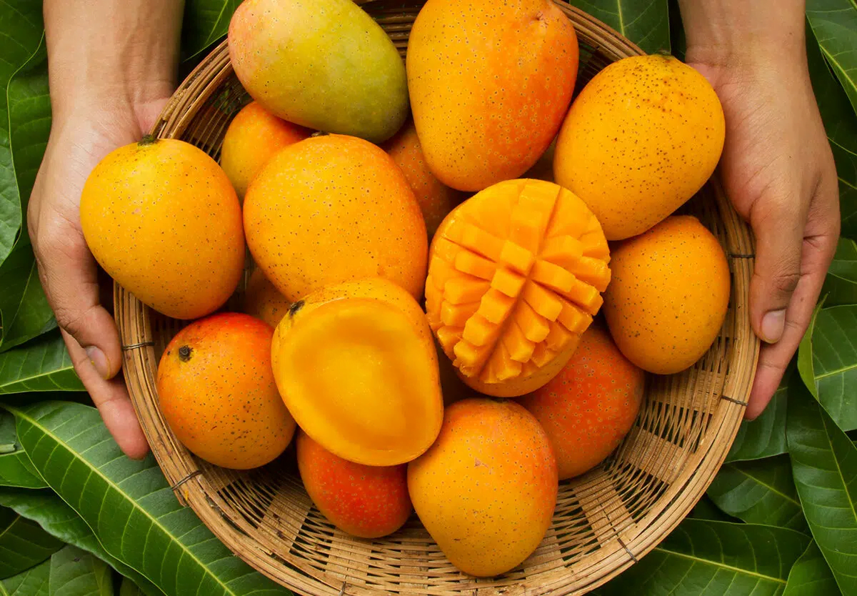 Health Benefits Of Mango