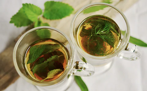 Health Benefits Of Spearmint