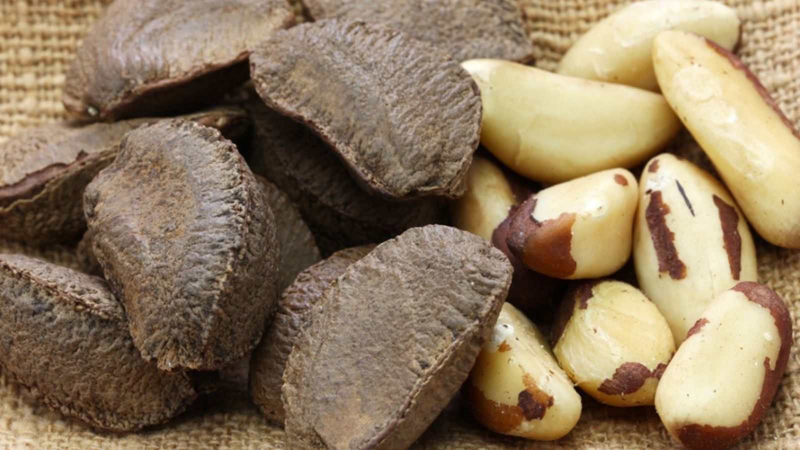 Health Benefits Of Brazil Nuts