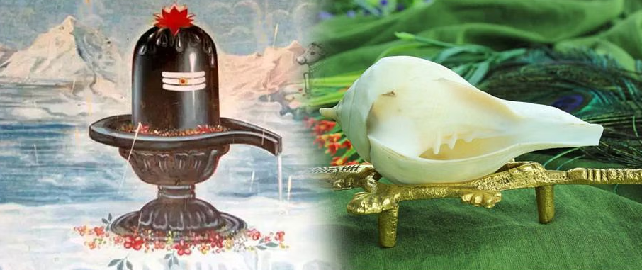 Why Conch Shell Not Used In The Worship Of Lord Shiva?