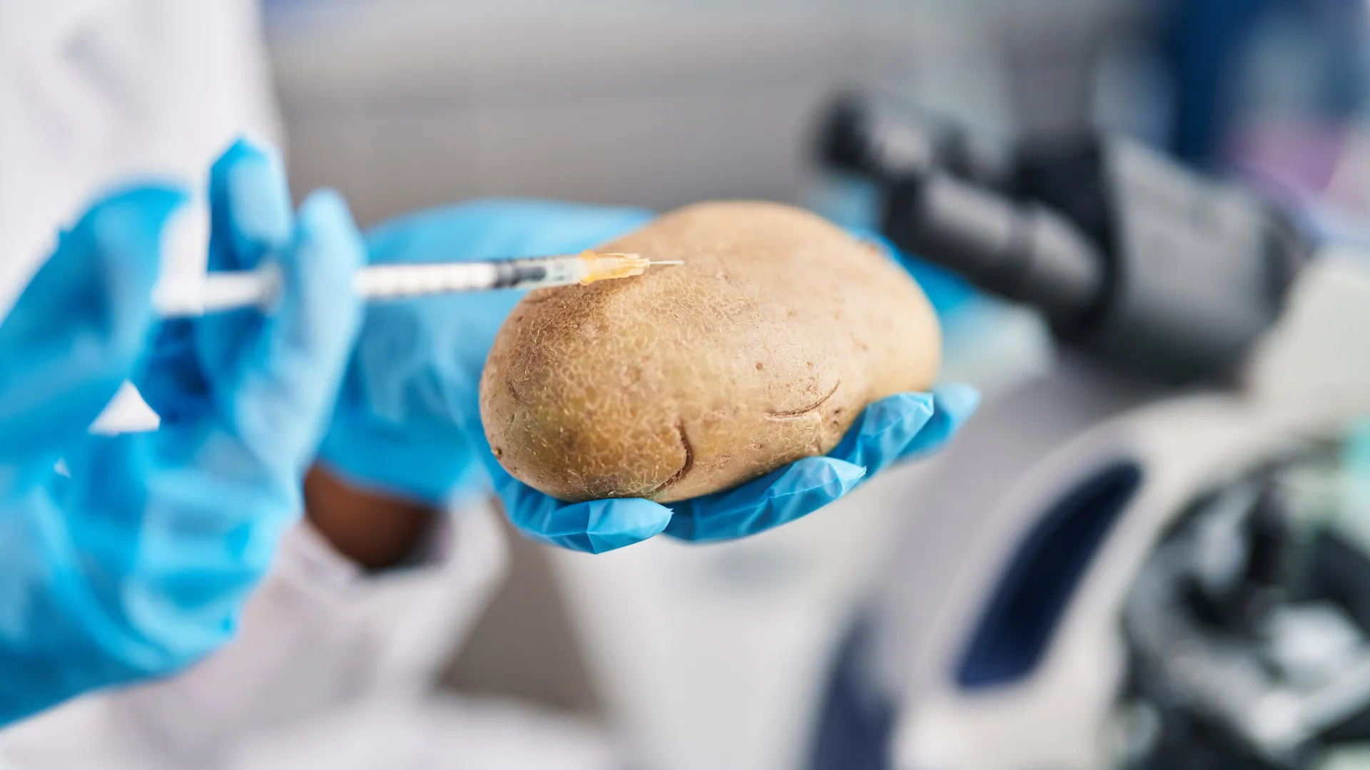 The Potato’s Family: Scientists Discover Ancient Origin