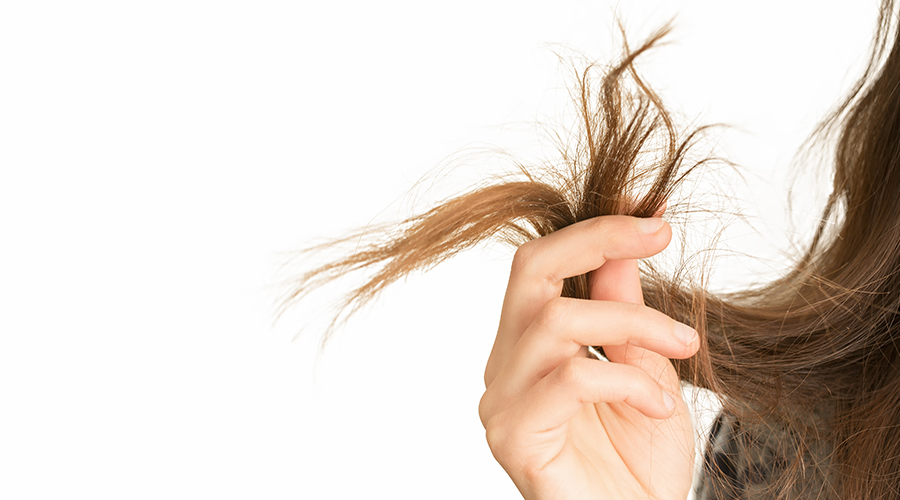 Home Remedies to Repair Split Ends In Hair