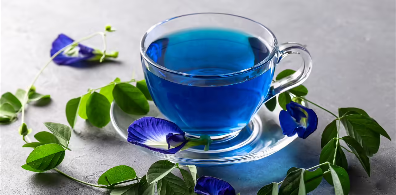 Health Benefits of Drinking Blue Tea: Boost Immunity, Reduce Stress, and More