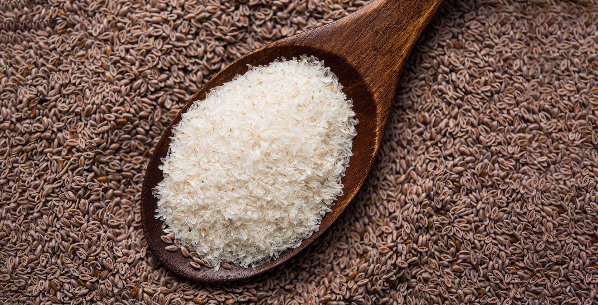 Health Benefits Of Isabgol: The Secret Ayurvedic Remedy for a Clean Gut and Healthy Body