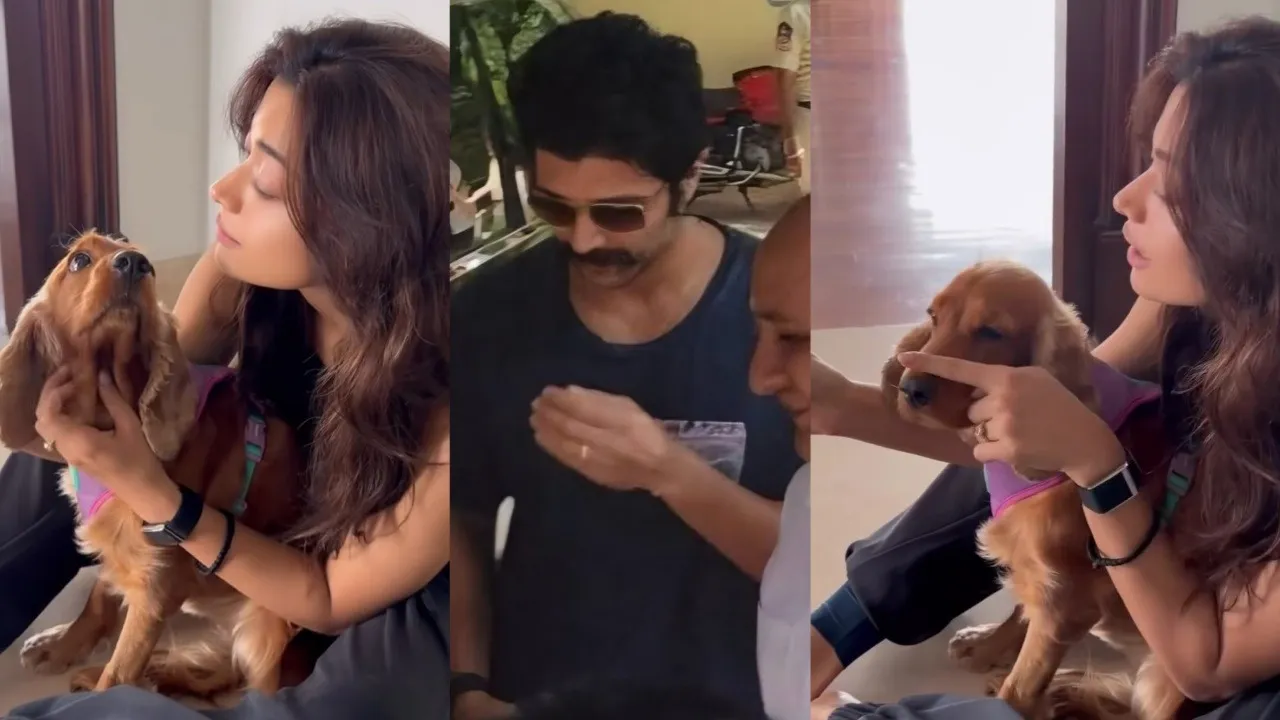 Rashmika Mandanna Flaunting Her Engagement Ring After Vijay Deverakonda – Pratidin TV – Breaking News & Latest Update