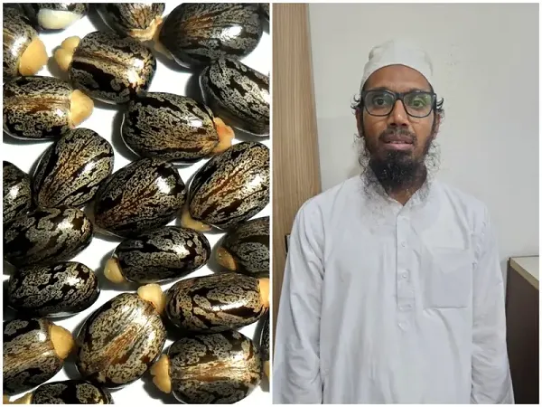 Gujarat ATS Foils Major Terror Plot, Arrests Three With Deadly Ricin and Weapons