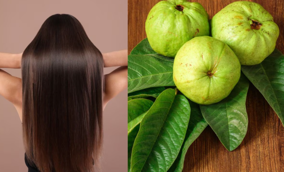 Natural Hair Fall Solution: Guava Leaves for Shiny, Strong Hair