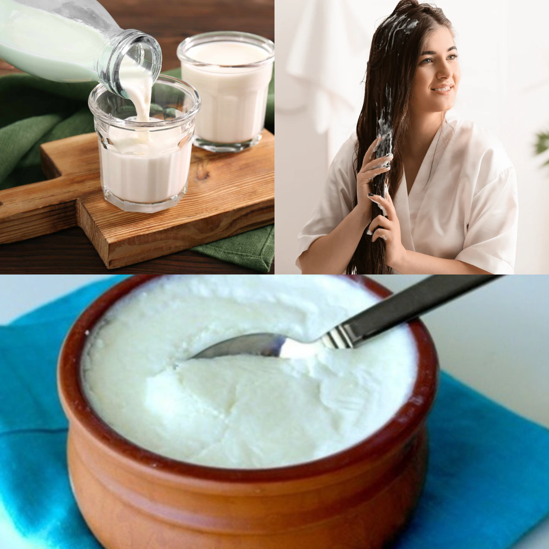 Curd vs. Raw Milk for Hair: Which Is Better?