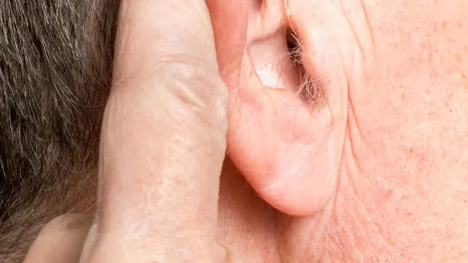 Hair on Ears: A Rare Sign That Symbolises Longevity and Good Fortune