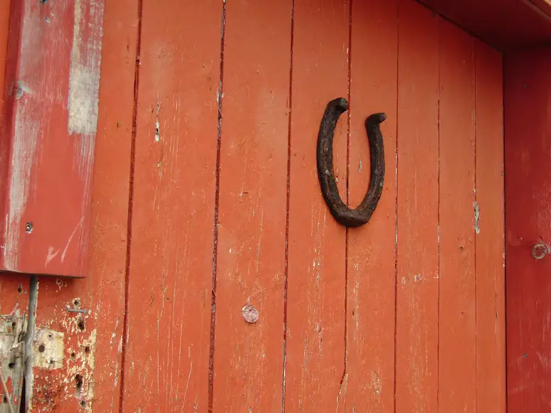 Why Do People Hang Horseshoes on Their Main Door? Know The Spiritual Benefits