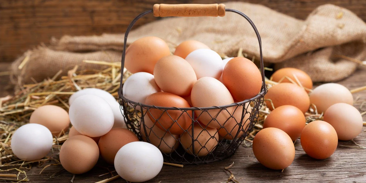 White vs. Brown Eggs: Which One Should You Eat for Better Health?